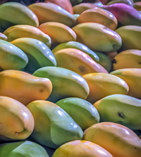 Accused Mango Markets Thief to Face Trial in December for Alleged $116M Theft