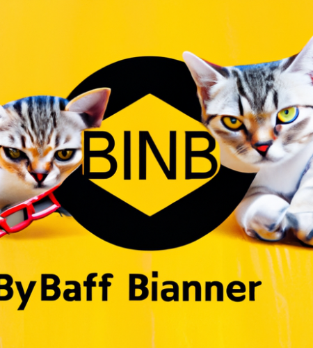 Binance Smart Chain Hit with Copycat Vyper Attack, $73K Exploited